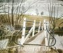Ravilious in Pictures Country Life 3
