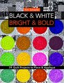 Black  White Bright  Bold 24 Quilt Projects to Piece  Appliqu