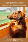 Dog Separation Anxiety How to Detect Cure and Prevent