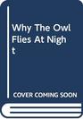 Why the Owl Flies at Night