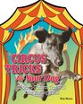 Circus Tricks for Your Dog: 25 Crowd-Pleasers that Will Make Your Dog A Star