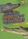 Can You Tell an Alligator from a Crocodile