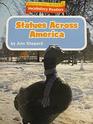 Houghton Mifflin Vocabulary Readers Theme 32 Level 3 Statues Across America