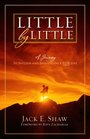 Little by Little A Journey to Success and Significance FOR Life