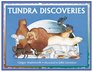 Tundra Discoveries