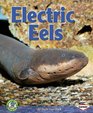 Electric Eels