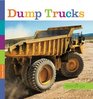 Seedlings Dump Trucks
