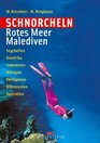 Schnorcheln Rotes Meer / Malediven