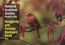 NAS Pocket Guide to Songbirds and Familiar Backyard Birds Eastern Region  East