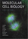 Molecular Cell Biology  eBook