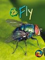 Bug Book Fly