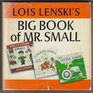 Big Book of Mr Small