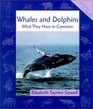 Whales and Dolphins What They Have in Common