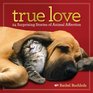 True Love 24 Surprising Stories of Animal Affection