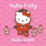 Hello Kitty Hello 2009 Wall Calendar
