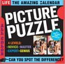 The Amazing Life Picture Puzzle PageADay Calendar 2009