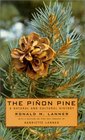 The Pinon Pine A Natural And Cultural History