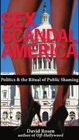 Sex Scandal America Politics  the Ritual of Public Shaming