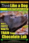 Chocolate Lab Chocolate Labrador Retriever Training  Think Like a Dog But Don't Eat Your Poop Here's EXACTLY How To TRAIN Your Chocolate Lab