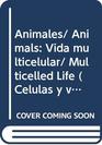 Animales/ Animals Vida multicelular/ Multicelled Life