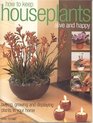 How to Keep Houseplants Alive and Happy Buying Growing and Displaying Plants in your Home