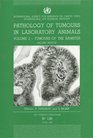 Pathology of Tumours in Laboratory Animals Volume 3 Tumours of the Hamster