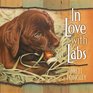 In Love with Labs