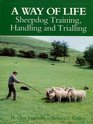 A Way of Life Sheepdog Training Handling and Trialling