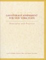 GasStorage Assessment For New York State Principles and Practice
