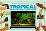 A Practical Guide to Setting Up Your Tropical Freshwater Aquarium
