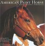 The American Paint Horse : A Photographic Portrayal