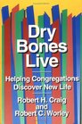 Dry Bones Live Helping Congregations Discover New Life