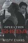 Operation Sheba