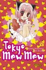 Tokyo Mew Mew 6