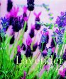 Lavender The Grower's Guide