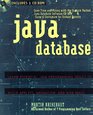 Java Database Development