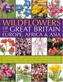 Wildflowers of Great Britain Europe Africa  Asia A comprehensive encyclopedia and guide to the plant diversity of these continents with identification  than 675 maps illustrations and photographs