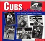 Cubs Collection 100 Years of Chicago Cubs Images
