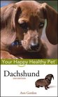Dachshund Your Happy Healthy Pet