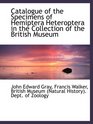 Catalogue of the Specimens of Hemiptera Heteroptera in the Collection of the British Museum