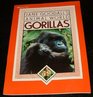 Jane Goodall's Animal World Gorillas