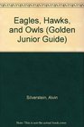 OwlEagle/Other Bird Jr Guide