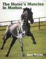 The Horses Muscles in Motion