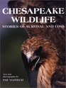 Chesapeake Wildlife Stories of Survival and Loss