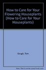 How to care for your flowering houseplants