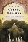 Elephas Maximus  A Portrait of the Indian Elephant