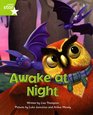 Fantastic Forest Awake at Night Green Level Fiction