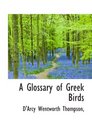 A Glossary of Greek Birds