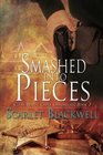 Smashed into Pieces