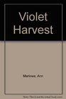 Violet Harvest